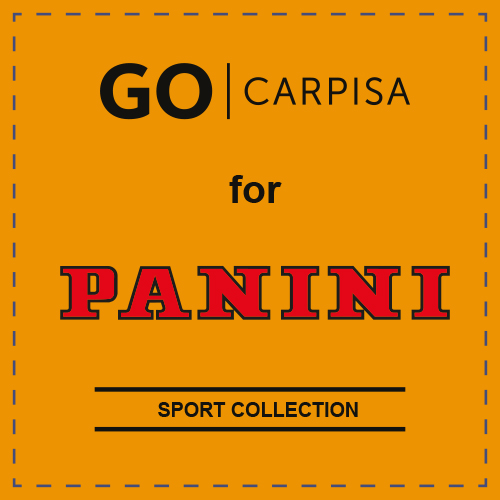 Logo Carpisa GO