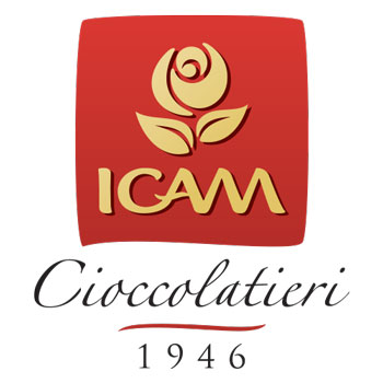 Logo Icam